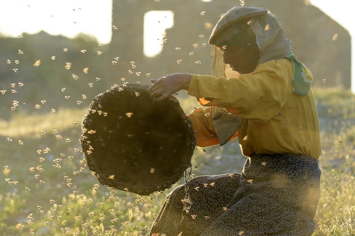 de cu Oscar 2020 anh 14