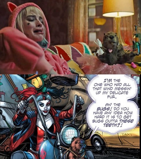 phim Birds of Prey anh 5