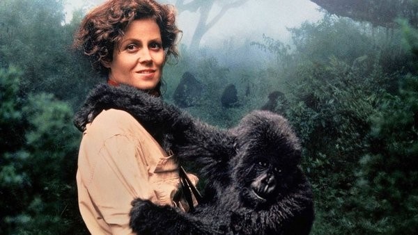 ky nang la khi dong phim anh 1