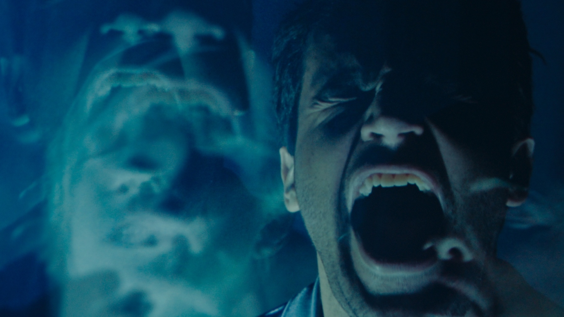 review phim Possessor anh 2