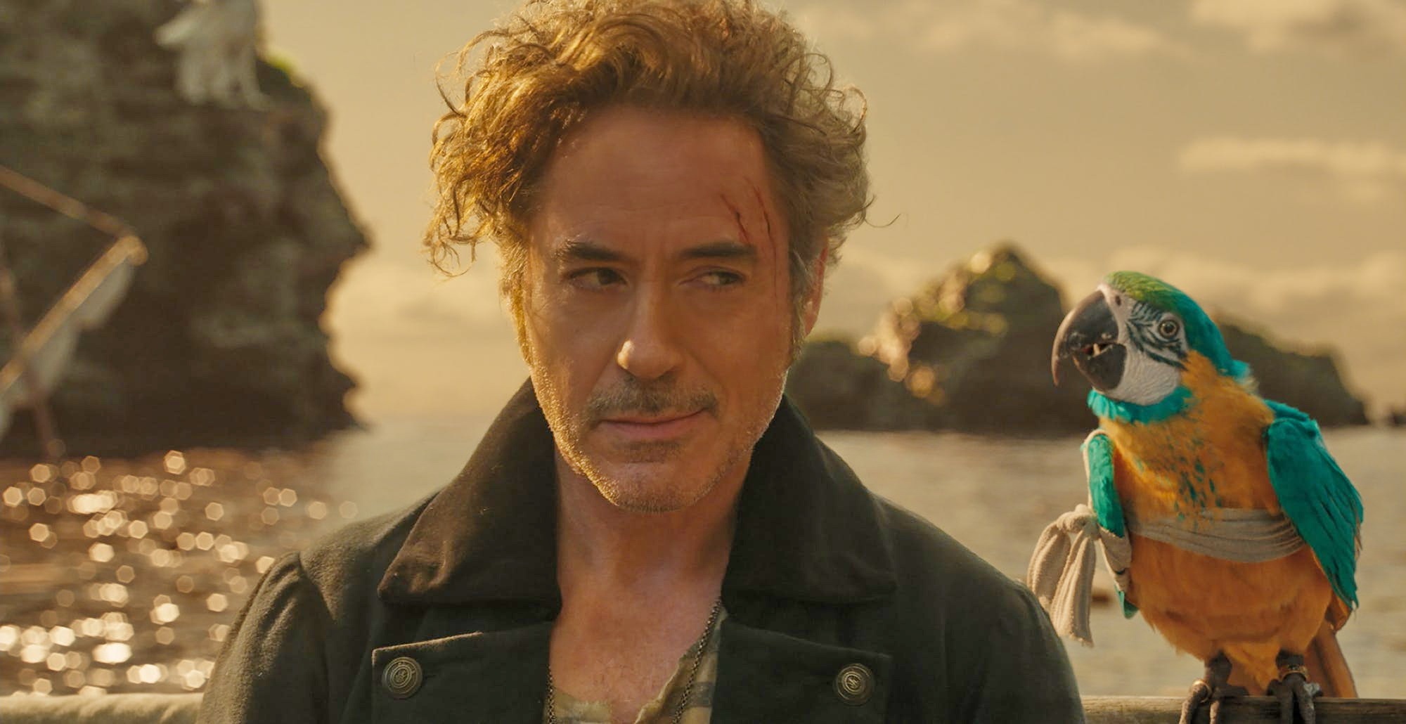 phim an khach nhat 2020 anh 6