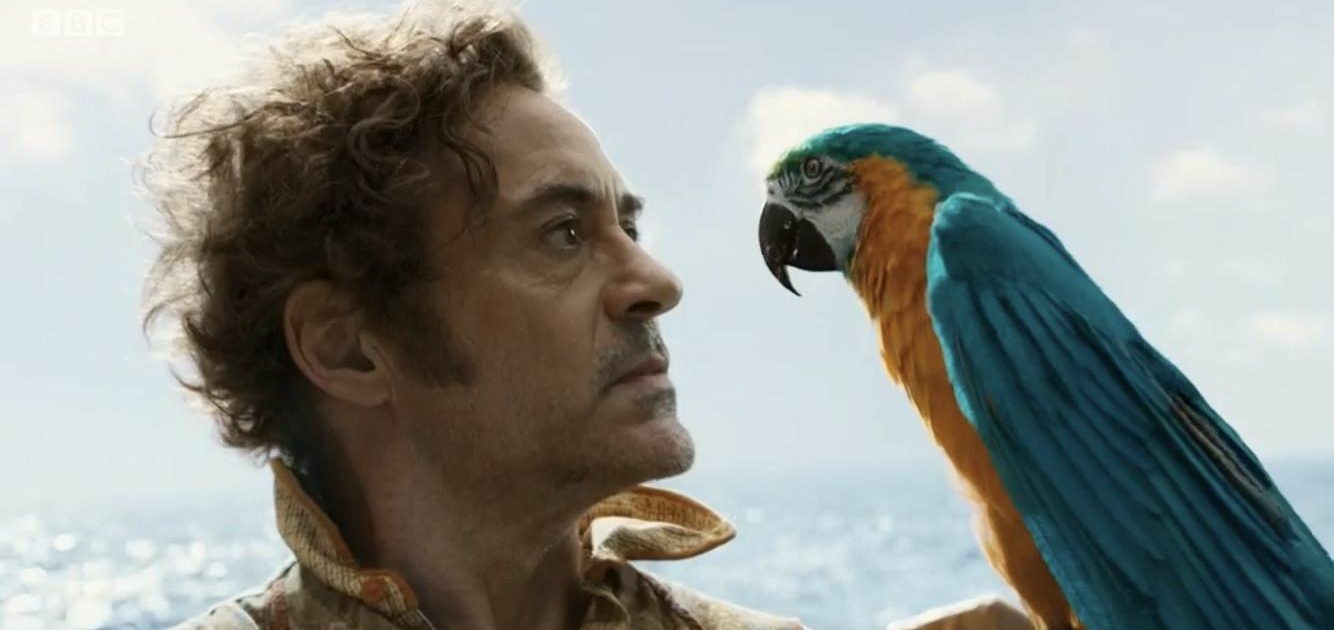 mam xoi vang 2021 anh 1