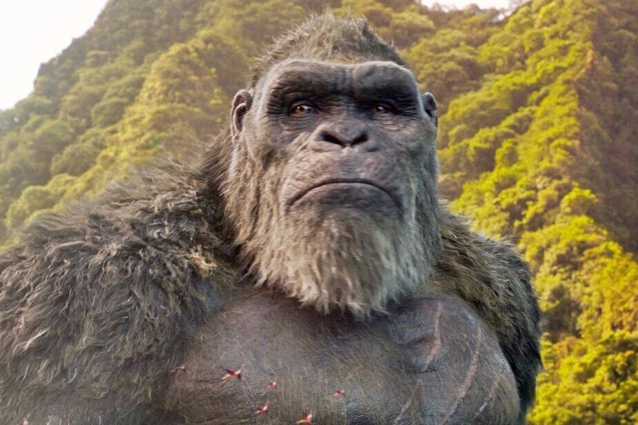 ‘Godzilla vs. Kong’: Cuu tinh Hollywood hay chi la truong hop ca biet? hinh anh