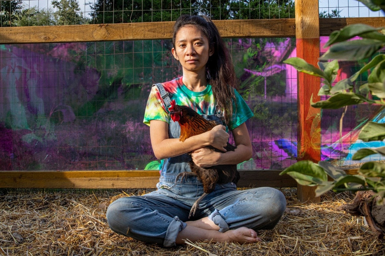 Ai co the lam nen lich su tai Oscar 2021? hinh anh