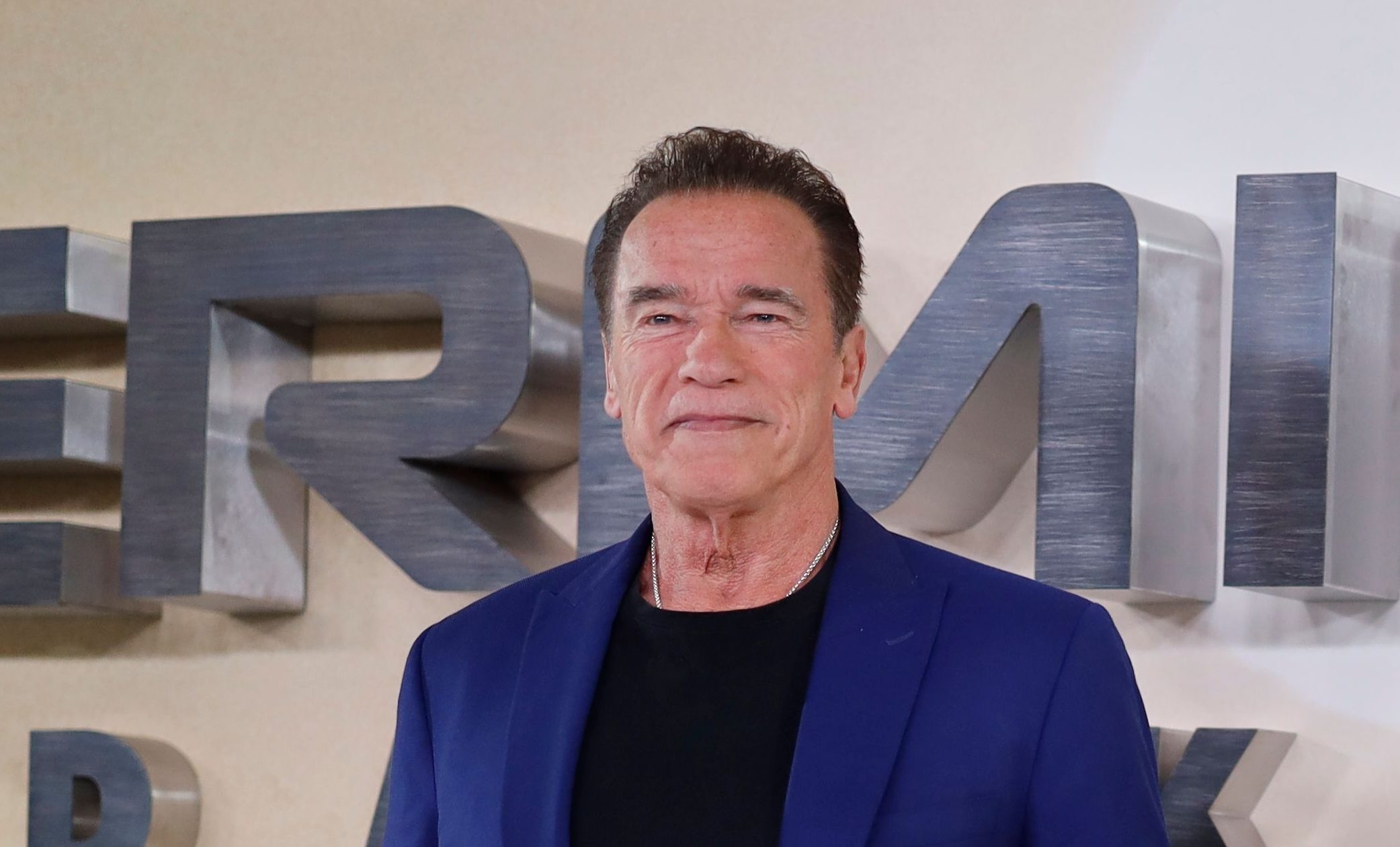 Arnold Schwarzenegger anh 2