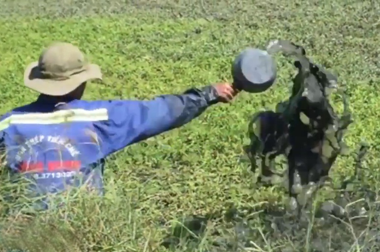 'Dan hang ngay an thuc pham doc, ai chiu trach nhiem?' hinh anh