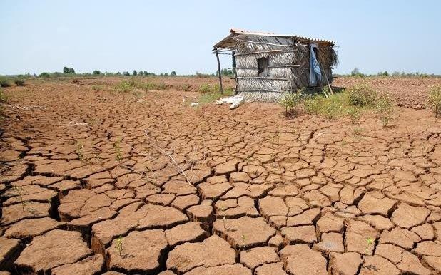 Han, man ky luc 100 nam do ho chua thuong nguon hinh anh