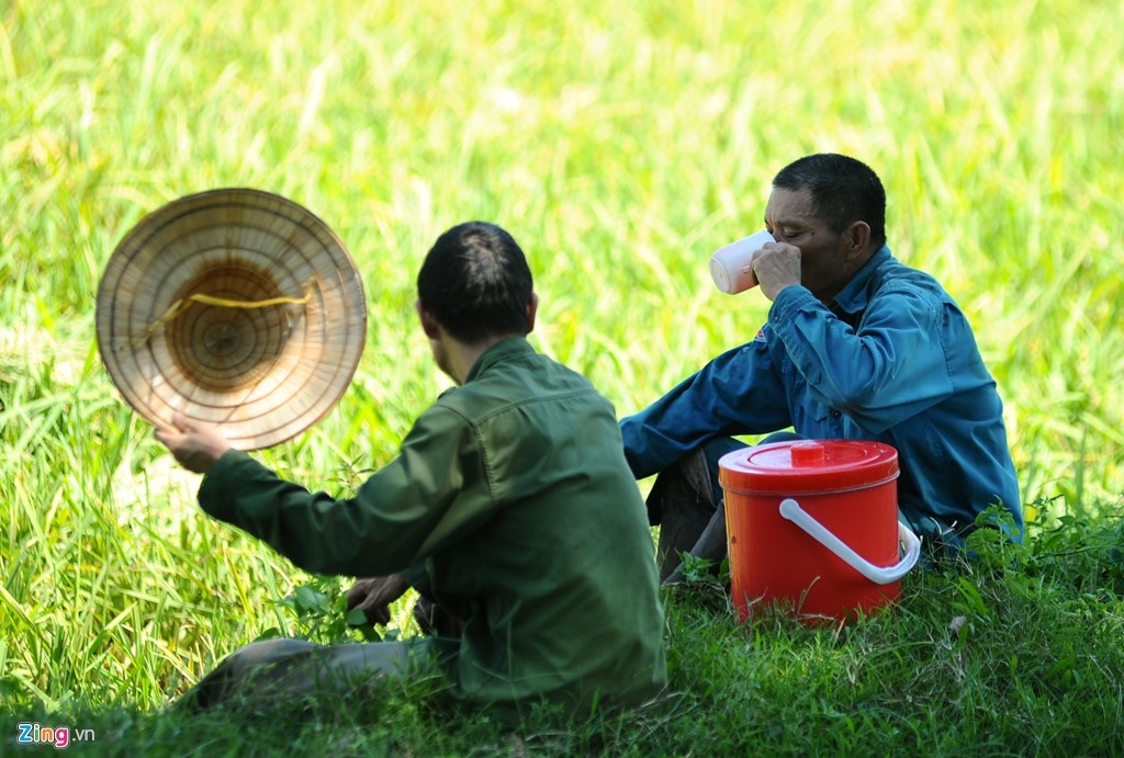 Nang nong o Ha Noi anh 1