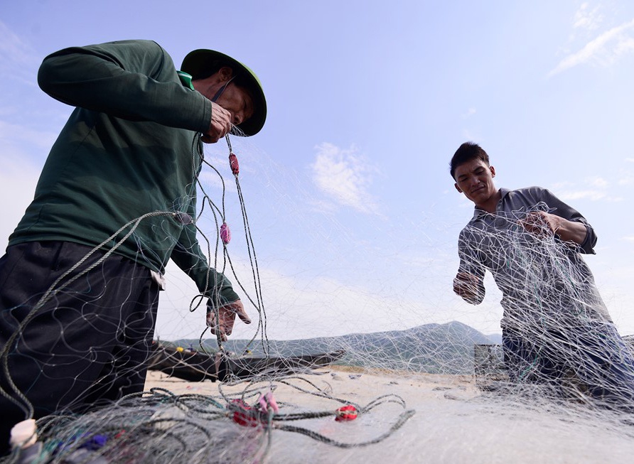 Lap Ban chi dao on dinh doi song ngu dan 4 tinh mien Trung hinh anh