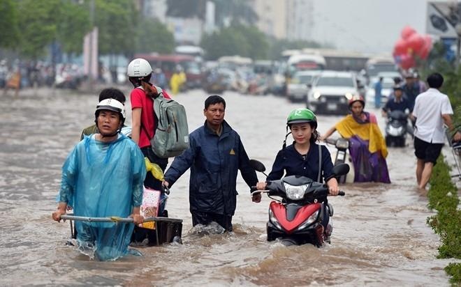 Canh bao lu quet, sat lo o mien nui phia Bac do mua lon hinh anh