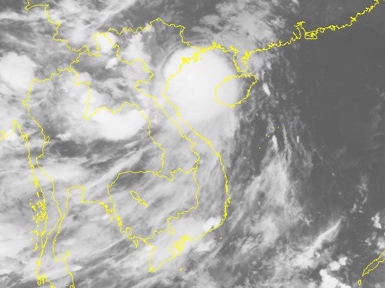 Bao Mirinae do bo khu vuc Thai Binh - Ninh Binh hinh anh