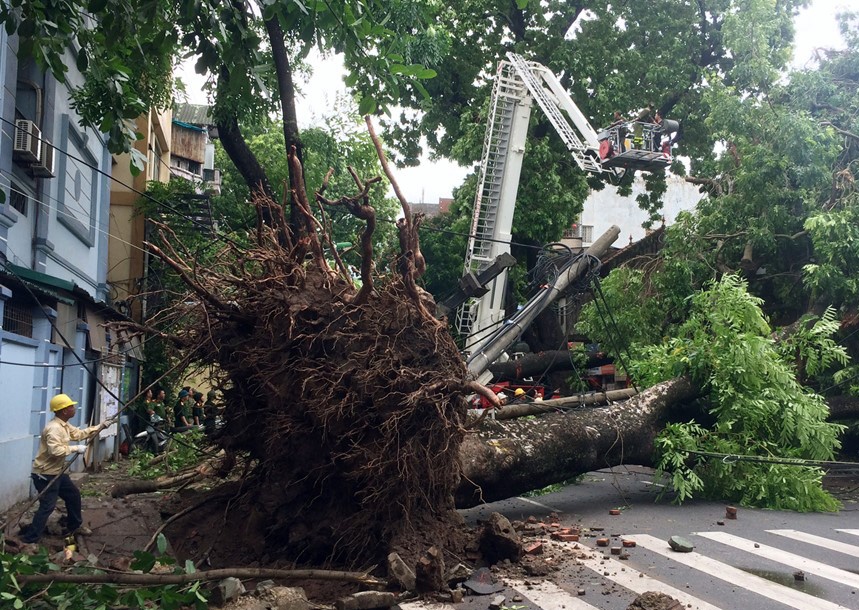 3 nguoi chet do bao Mirinae hinh anh