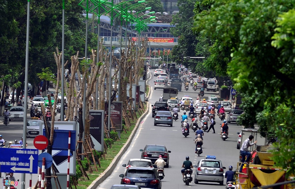 Kinh phi cat co,  tia cay o Ha Noi anh 1