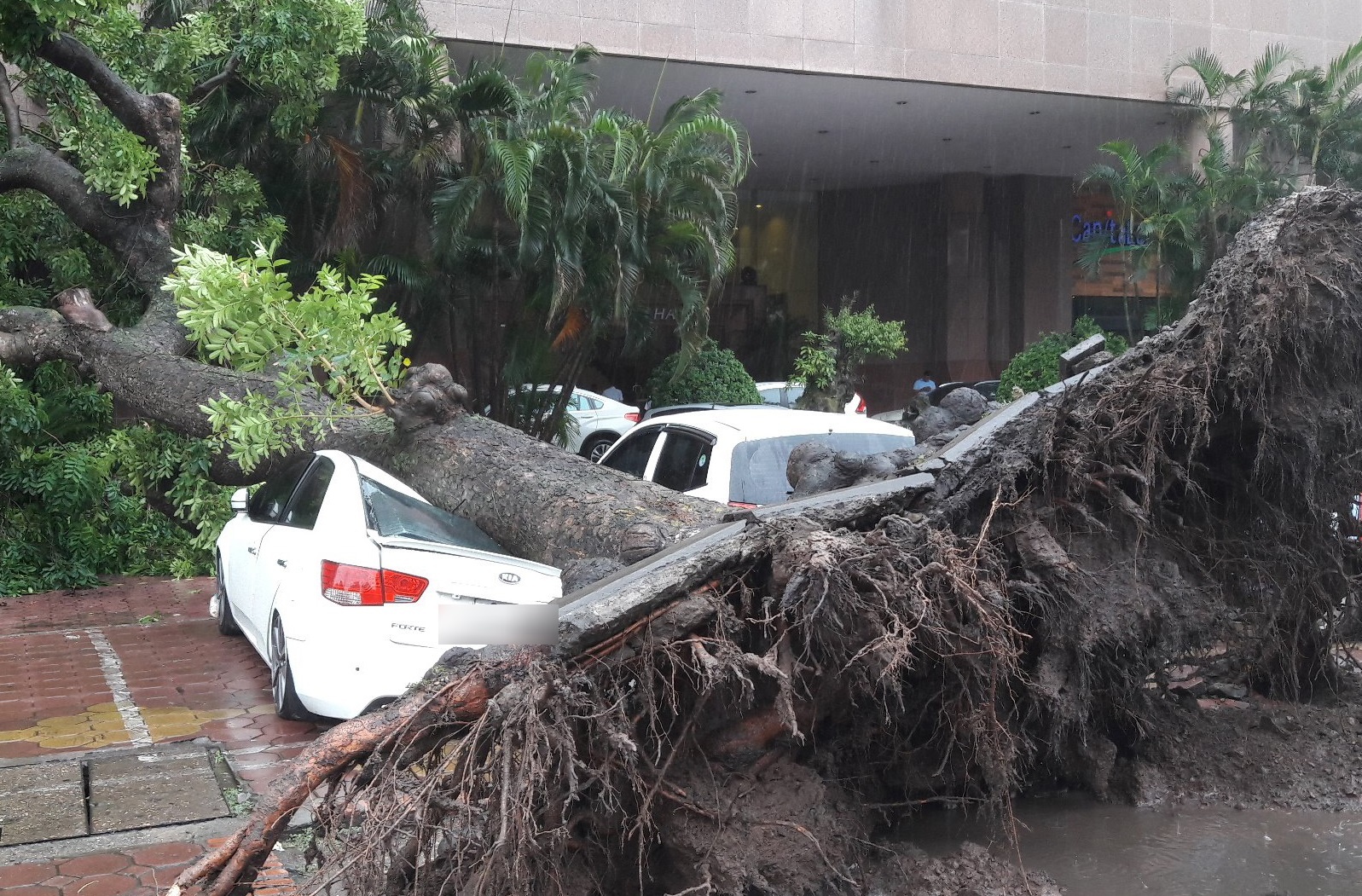 Ha Noi khuyen nguoi dan han che ra duong khi mua to, gio lon hinh anh