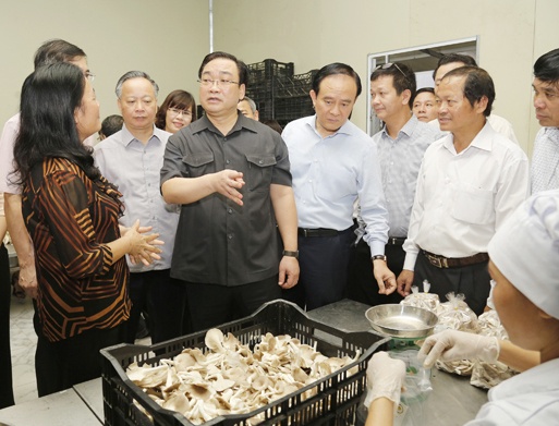 ‘Chinh quyen can ho tro dan trong ket noi voi thi truong' hinh anh