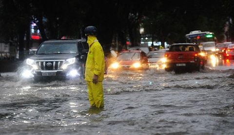 mua dong dien rong o Bac Bo anh 1