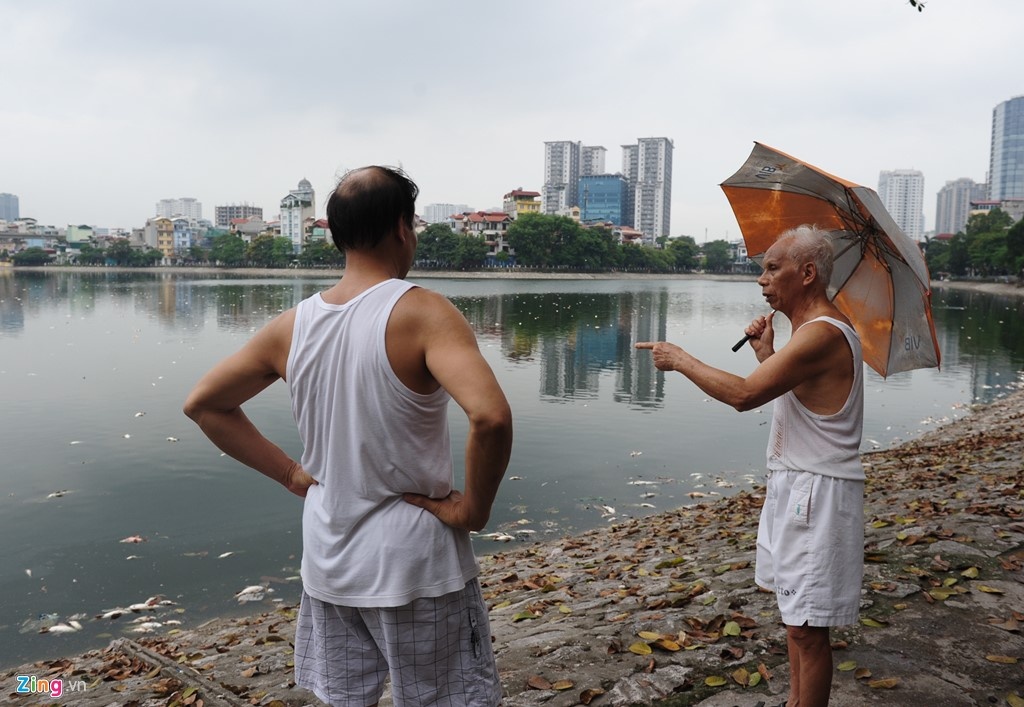 Ha Noi xu ly nuoc o nhiem o cac ho anh 1