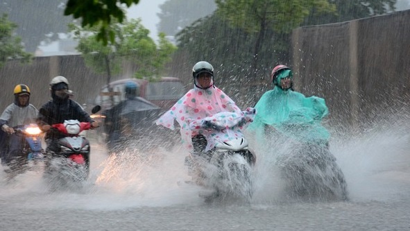 Ap thap nhiet doi co kha nang manh len thanh bao hinh anh