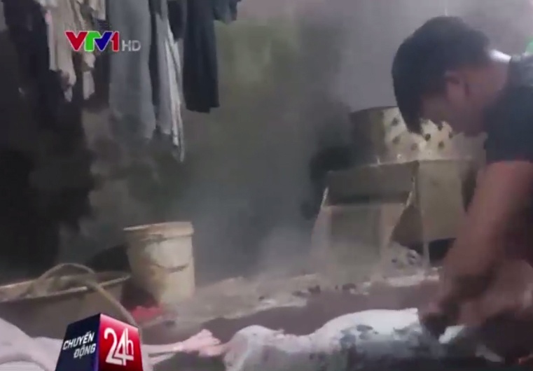 Cho co dau hieu dich benh duoc giet o lo mo hinh anh