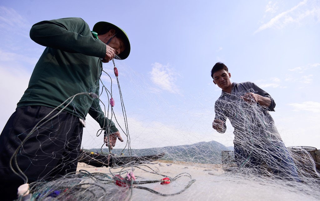 Ung 3.000 ty boi thuong cho ngu dan 4 tinh mien Trung hinh anh