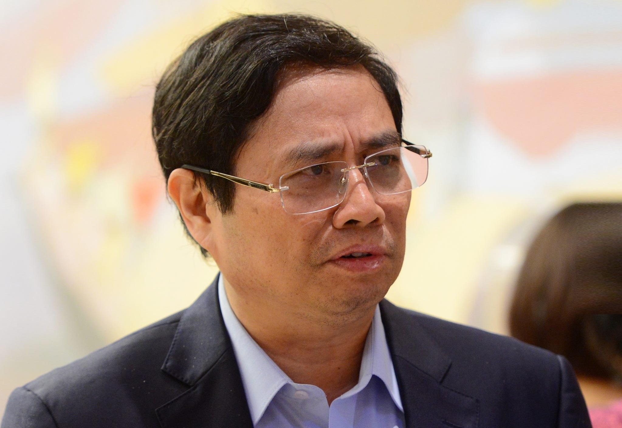 Thuc hien dung ket luan lien quan toi ong Vu Huy Hoang hinh anh