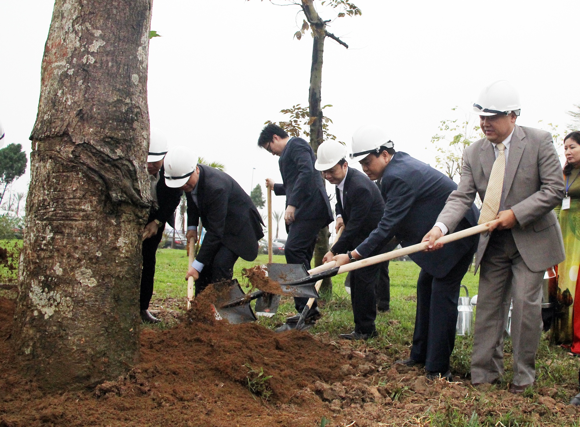 Ha Noi se trong them gan nua trieu cay xanh trong nam 2017 hinh anh