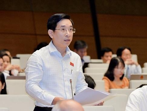 Mot dai bieu Quoc hoi chuyen trach 'tu quan' hinh anh