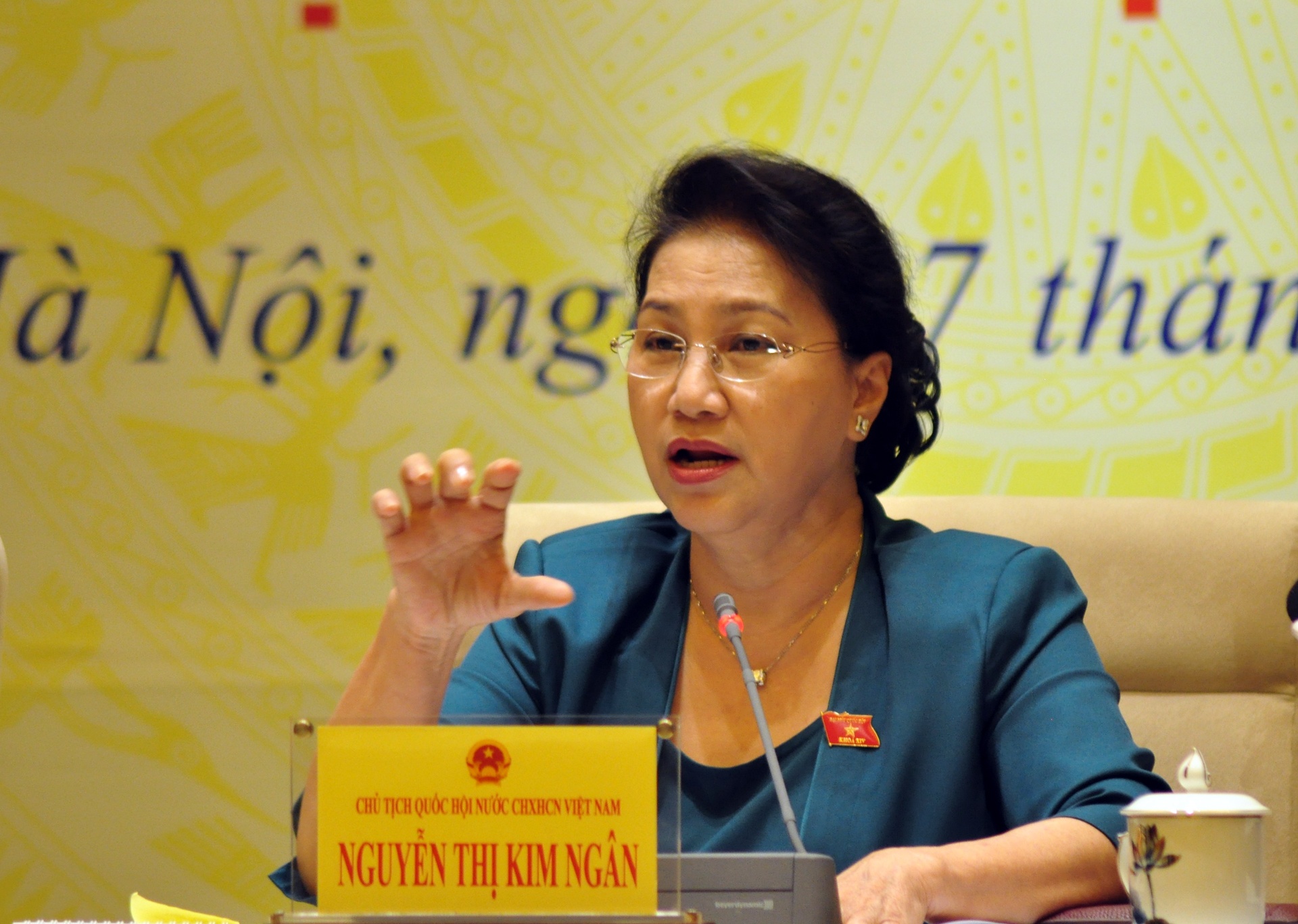 'Biet than chu pham toi rat nghiem trong, luat su khong the lam ngo' hinh anh