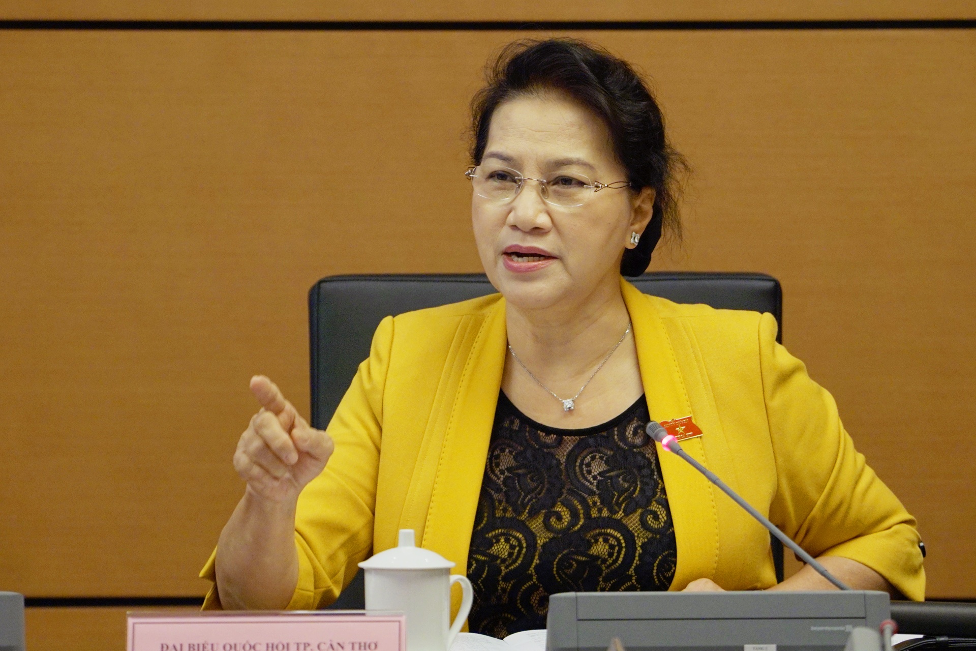 Du an san bay Long Thanh anh 1