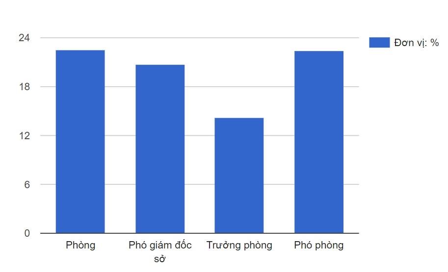 Ha Noi tinh gian 62 pho giam doc so anh 1