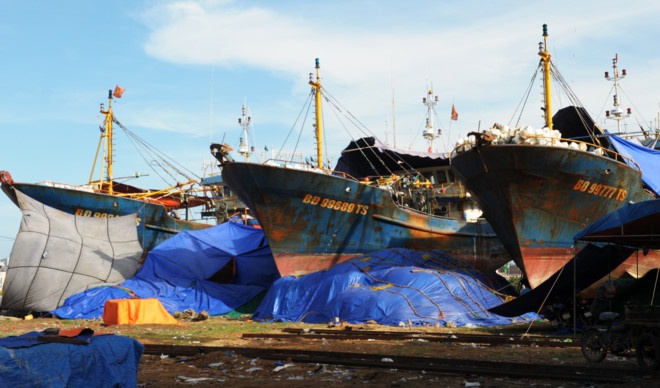 Bao cao Thu tuong, Bo Nong nghiep de nghi xu nghiem vu tau ca vo thep hinh anh