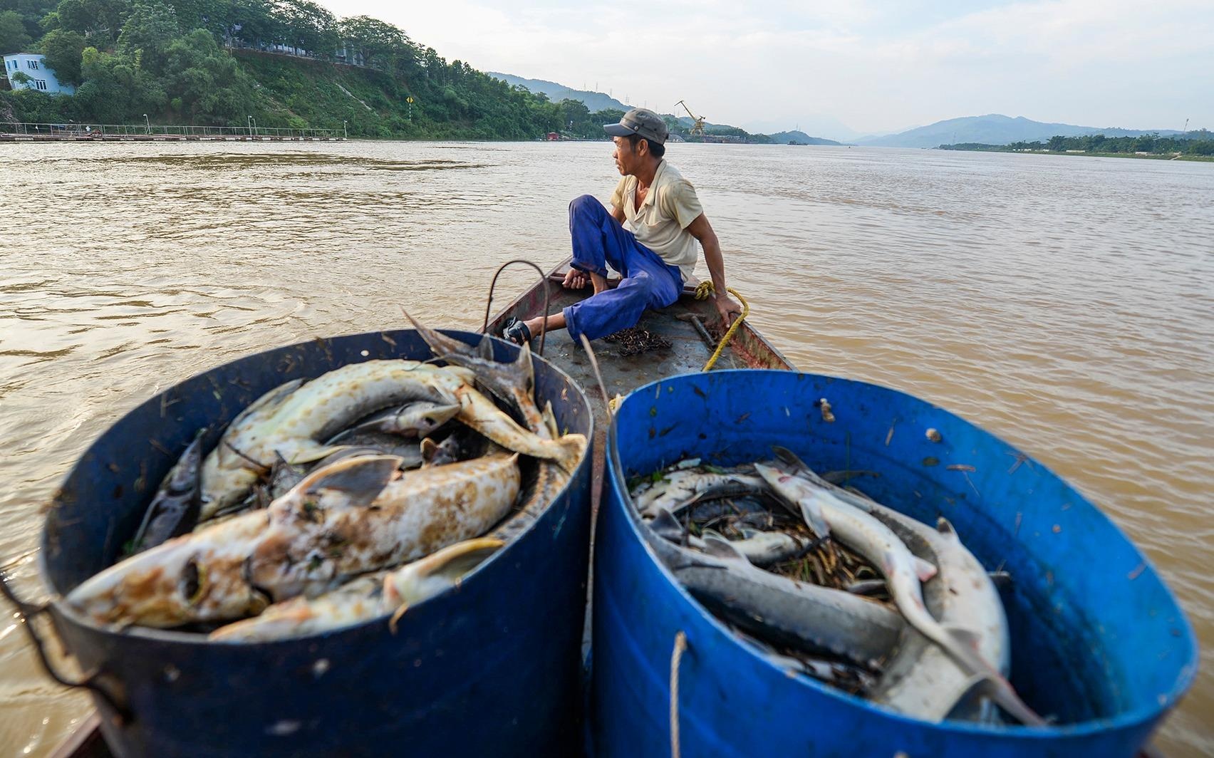 400 tan ca chet do sac nuoc hinh anh