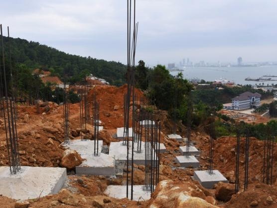 Lanh dao Chinh phu chi dao thanh tra toan dien cac du an o Son Tra hinh anh