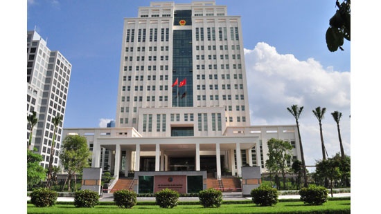 Cuc pho mat 400 trieu dong duoc bo nhiem khi chua du chung chi hinh anh