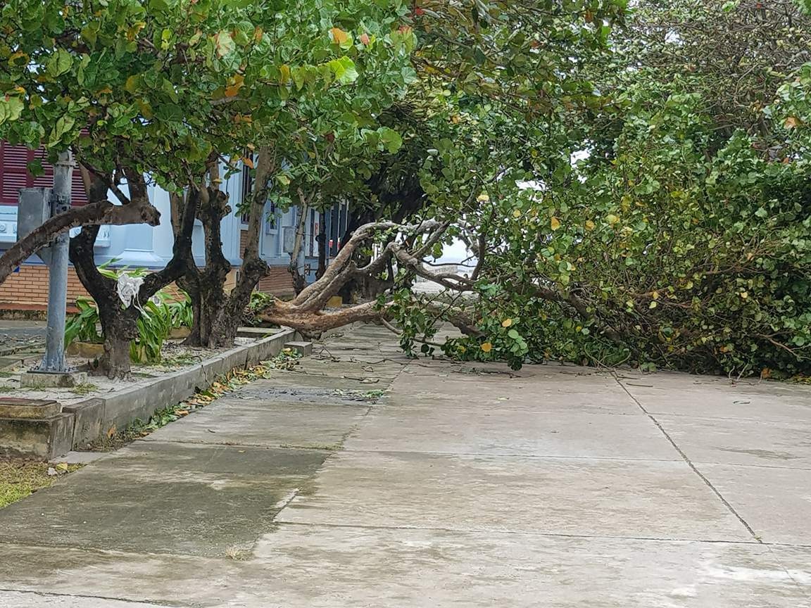 Bao so 16 vao Nam Bo anh 2