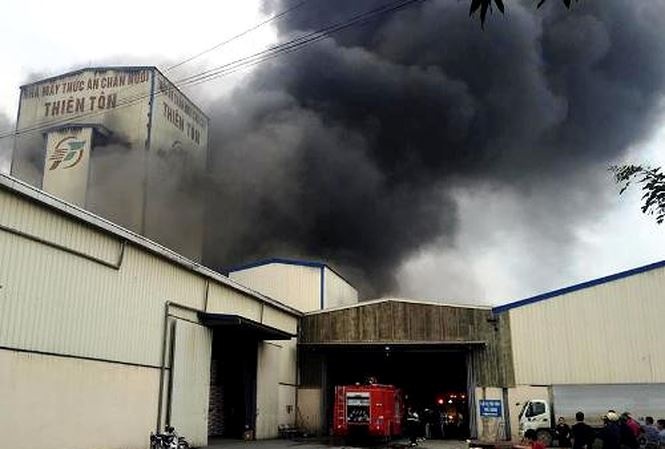 Chay lon tai cong ty thuc an chan nuoi hinh anh