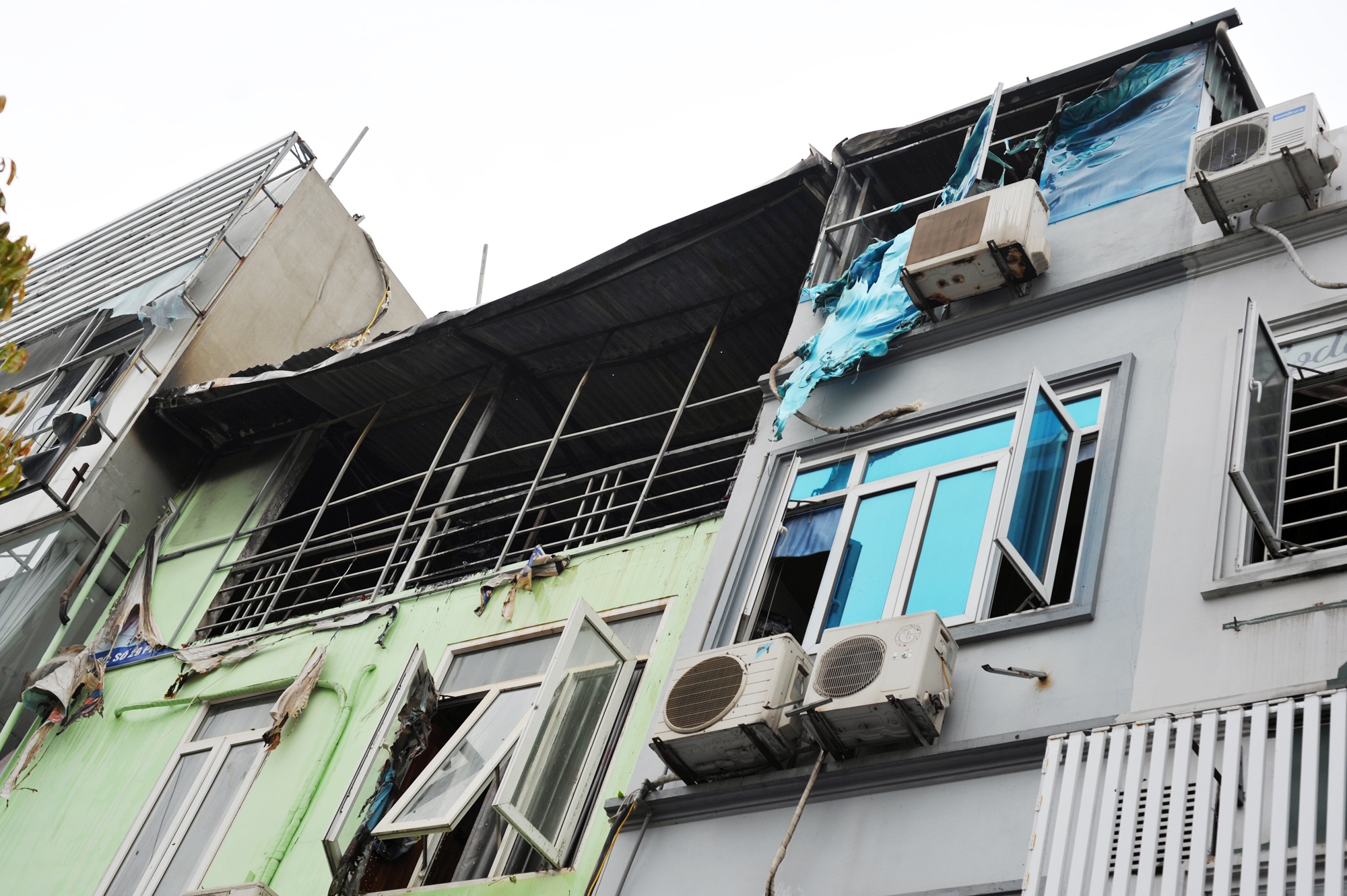 Kho ngua nghi ngut o pho O Cho Dua anh 2