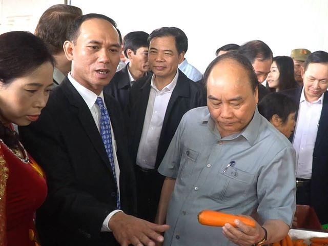 Thu tuong tham co so san xuat nong nghiep o Hai Duong hinh anh