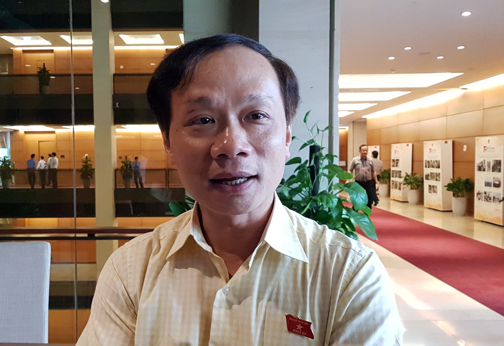 Dai bieu Quoc hoi len tieng vu MC Minh Tiep bi to bao hanh em vo hinh anh
