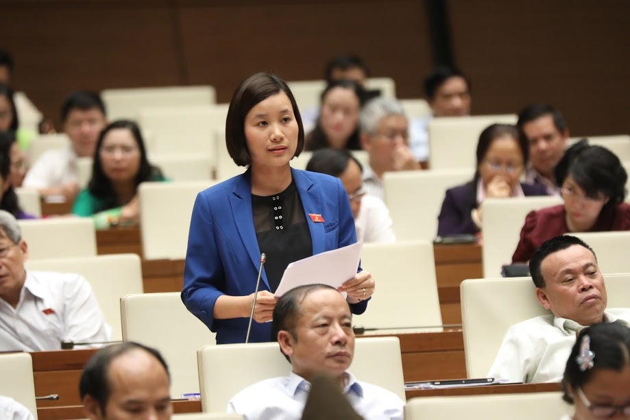 Quoc hoi thong qua Luat An ninh mang anh 1