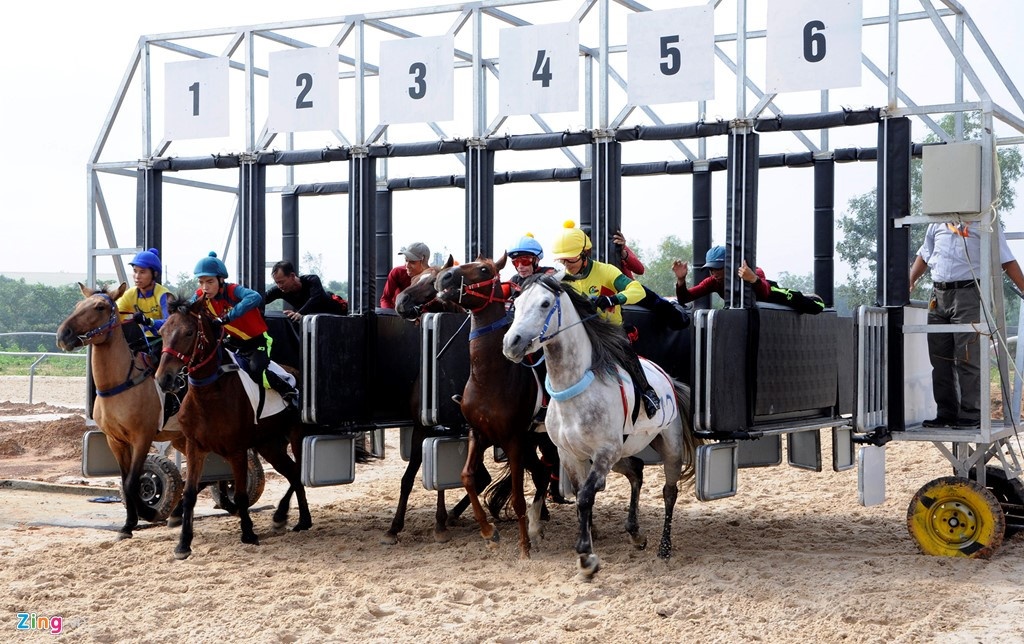 Ca cuoc chinh thuc dua vao luat anh 1