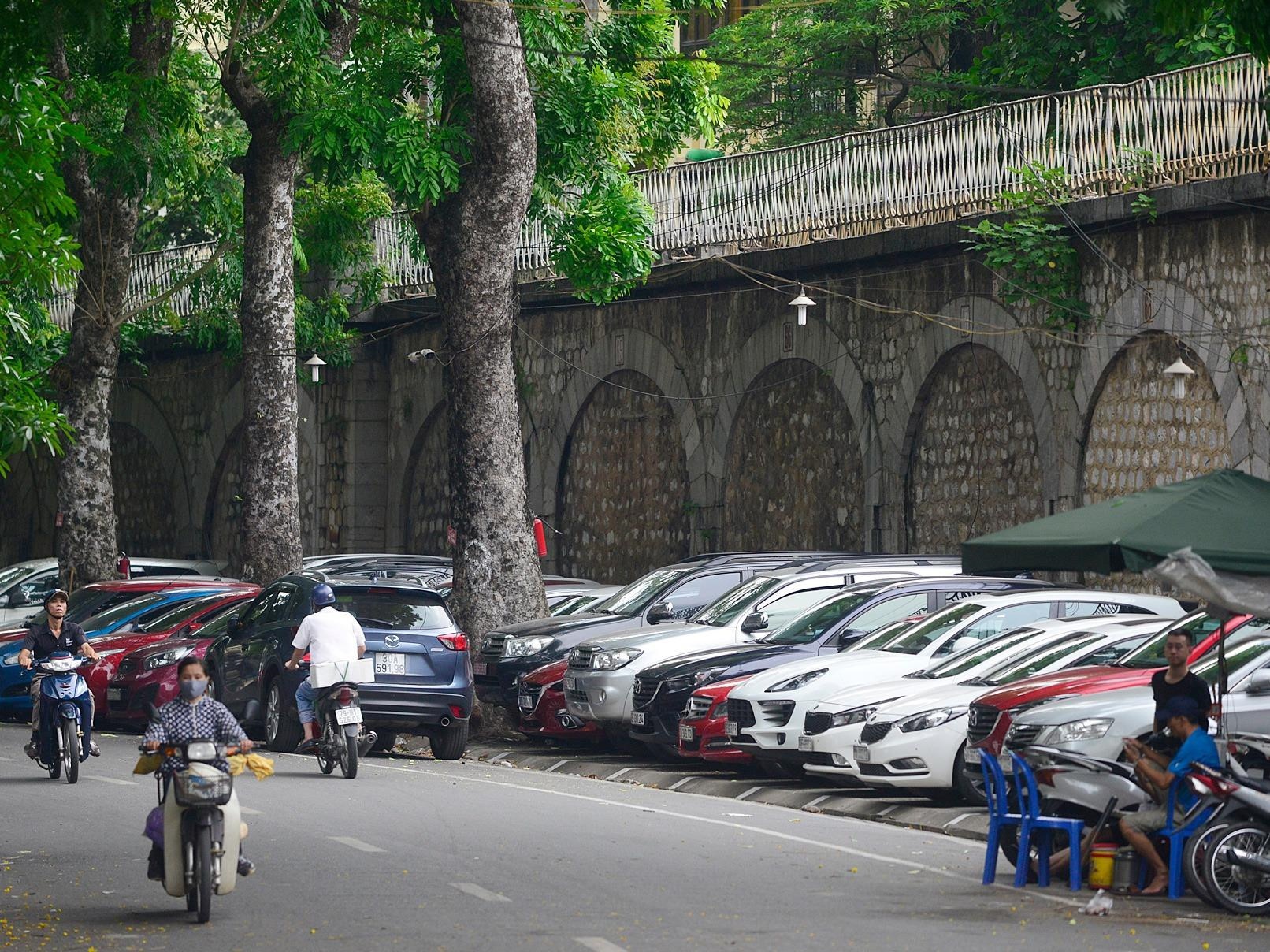 Ha Noi se duc thong 6 vom cau tram tuoi vao thang 9 hinh anh