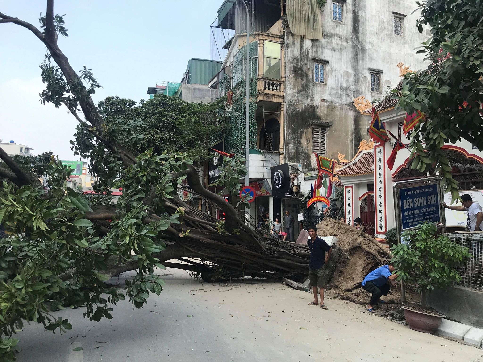 Cây cổ thụ đổ chắn ngang đường ở Hà Nội ảnh 5 Cay co thu do chan ngang duong o Ha Noi anh 5