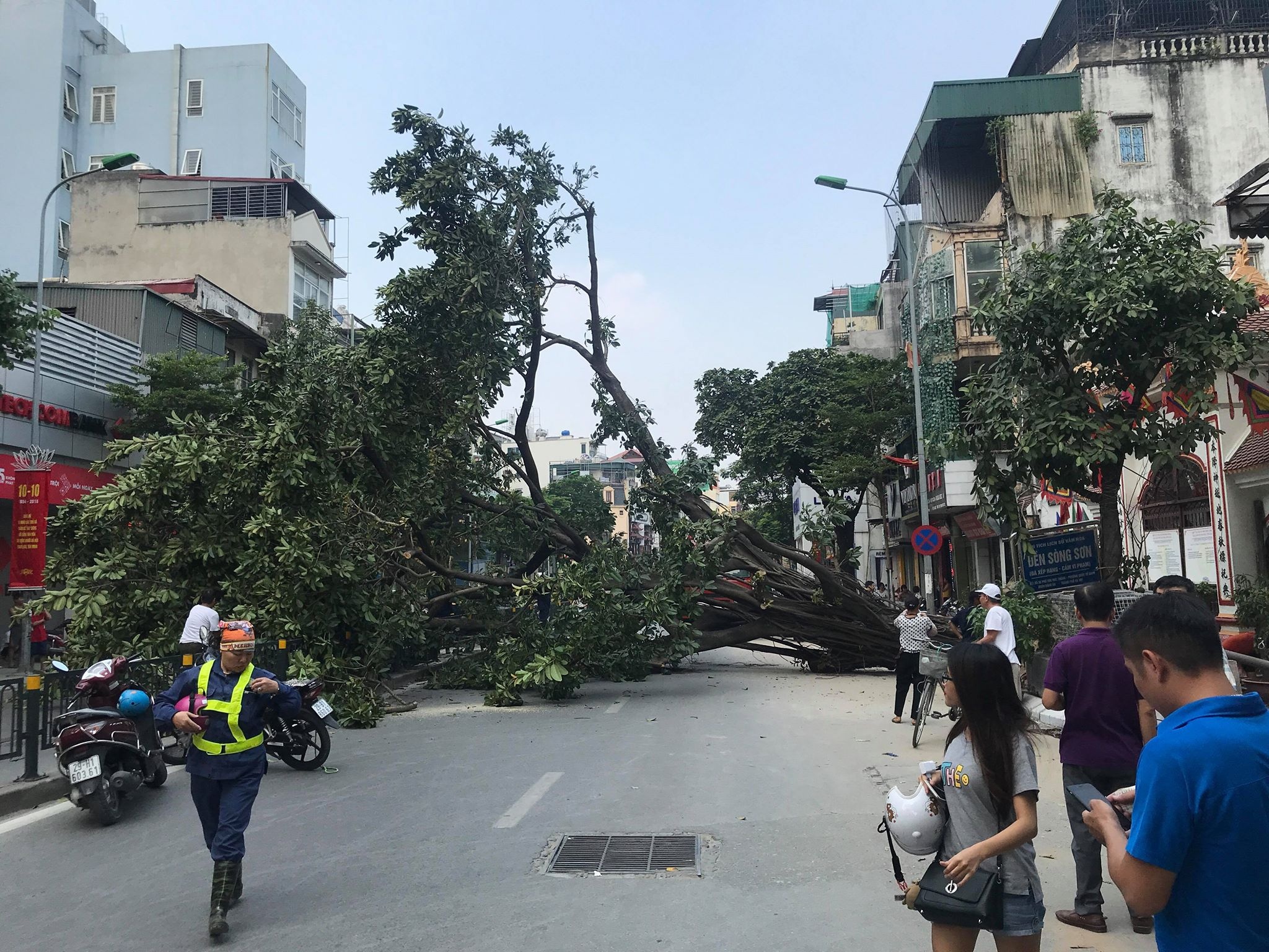 Cây cổ thụ đổ chắn ngang đường ở Hà Nội ảnh 1 Cay co thu do chan ngang duong o Ha Noi anh 1