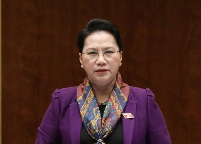 Uy ban Thuong vu Quoc hoi cho y kien ve nhan su de bau Chu tich nuoc hinh anh