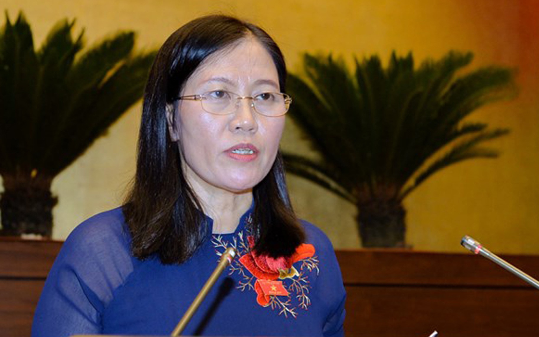 Si quan, quan nhan chuyen nghiep phai ke khai tai san? hinh anh