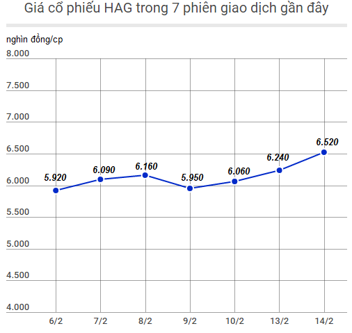 HAGL bao lo ky luc,  bau Duc van mim cuoi anh 1