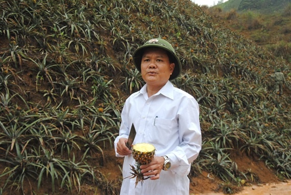 Ca nghin tan dua tren cay bong thoi nhun anh 1