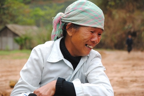 Ca nghin tan dua tren cay bong thoi nhun chua ro nguyen nhan? hinh anh