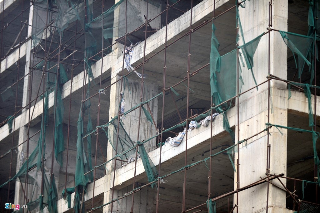 Nhung ‘ong gia’ trong lang bat dong san Viet hinh anh